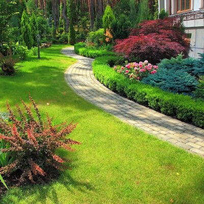 Depositphotos_8690263_XL